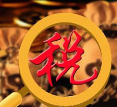 個人所得稅信息